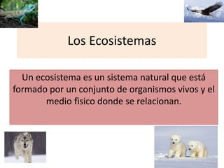 Los Ecosistemas
Un ecosistema es un sistema natural que está
formado por un conjunto de organismos vivos y el
medio fìsico donde se relacionan.
 