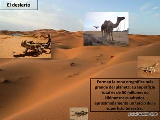 El desierto
Forman la zona orográfica más
grande del planeta: su superficie
total es de 50 millones de
kilómetros cuadrados,
aproximadamente un tercio de la
superficie terrestre.
 