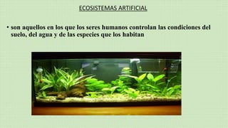 ECOSISTEMAS ARTIFICIAL
• son aquellos en los que los seres humanos controlan las condiciones del
suelo, del agua y de las especies que los habitan
 