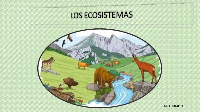 Los Ecosistemas
