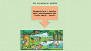 Los componentes bióticos
Son aquellos factores biológicos,
es decir aquellos que tienen vida
como los vegetales y animales.
 