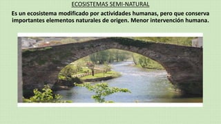 ECOSISTEMAS SEMI-NATURAL
Es un ecosistema modificado por actividades humanas, pero que conserva
importantes elementos naturales de origen. Menor intervención humana.
 