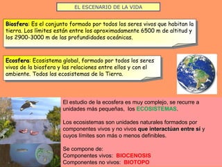 EL ESCENARIO DE LA VIDA
EcosferaEcosfera:: Ecosistema global, formado por todos los seres
vivos de la biosfera y las relaciones entre ellos y con el
ambiente. Todos los ecosistemas de la Tierra.
BiosferaBiosfera: Es el conjunto formado por todos los seres vivos que habitan la
tierra. Los límites están entre los aproximadamente 6500 m de altitud y
los 2900-3000 m de las profundidades oceánicas.
El estudio de la ecosfera es muy complejo, se recurre a
unidades más pequeñas, los ECOSISTEMAS.
Los ecosistemas son unidades naturales formados por
componentes vivos y no vivos que interactúan entre síque interactúan entre sí y
cuyos límites son más o menos definibles.
Se compone de:
Componentes vivos: BIOCENOSIS
Componentes no vivos: BIOTOPO
 