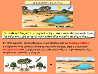 ECOSISTEMA
Ecosistema: Conjunto de organismos que viven en un determinado lugar,
las relaciones que se establecen entre ellos y medio en el que viven.
EL ESCENARIO DE LA VIDA
+
En otras palabras, el ecosistema es una unidad formada por factores bióticos
( integrantes vivos como los animales, vegetales, hongos, algas y bacterias) y
factores abióticos (componentes que carecen de vida, como por ejemplo la luz,
temperatura, salinidad, y el agua)
 