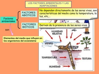LOS FACTORES AMBIENTALES Y LAS
ADAPTACIONES
Factores
ambientales
FACTORES
ABIÓTICOS
FACTORES
BIÓTICOS
son
Elementos del medio que influyen en
los organismos del ecosistema
No dependen directamente de los seres vivos, son
características del medio como la temperatura, la
luz, etc,…
Derivan de la presencia de los seres vivos
 