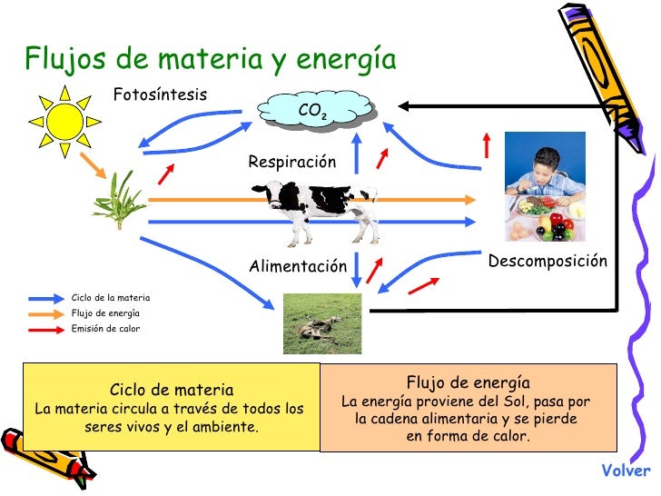 Los Ecosistemas 2
