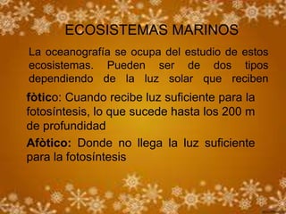 ECOSISTEMAS MARINOS
La oceanografía se ocupa del estudio de estos
ecosistemas. Pueden ser de dos tipos
dependiendo de la luz solar que reciben
fòtico: Cuando recibe luz suficiente para la
fotosíntesis, lo que sucede hasta los 200 m
de profundidad
Afòtico: Donde no llega la luz suficiente
para la fotosíntesis
 