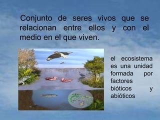 Conjunto de seres vivos que se
relacionan entre ellos y con el
medio en el que viven.

                     el ecosistema
                     es una unidad
                     formada    por
                     factores
                     bióticos     y
                     abióticos
 