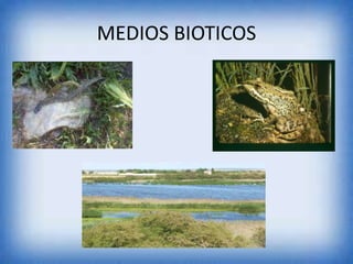 MEDIOS BIOTICOS
 