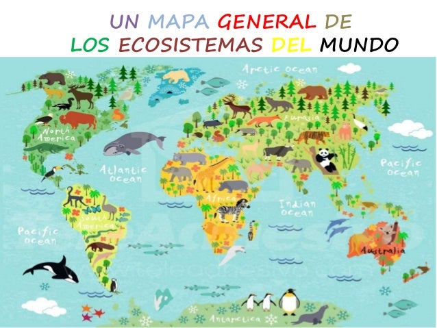 Los Ecosistemas 5º C