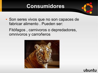 Consumidores

   Son seres vivos que no son capaces de
    fabricar alimento . Pueden ser:
    Fitófagos , carnivoros o depredadores,
    omnivoros y carroñeros
 