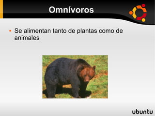 Omnívoros

   Se alimentan tanto de plantas como de
    animales
 
