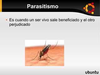 Parasitismo

   Es cuando un ser vivo sale beneficiado y el otro
    perjudicado
 