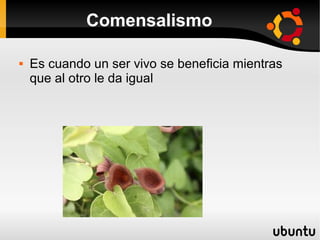 Comensalismo

   Es cuando un ser vivo se beneficia mientras
    que al otro le da igual
 