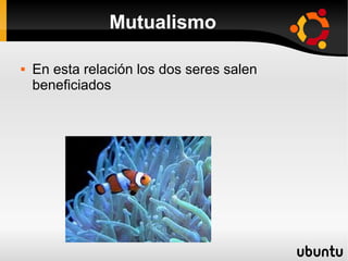 Mutualismo

   En esta relación los dos seres salen
    beneficiados
 