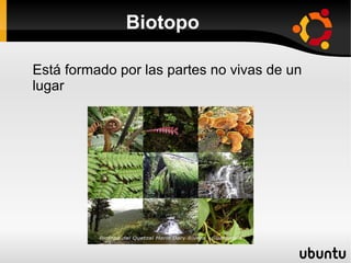 Biotopo

Está formado por las partes no vivas de un
lugar
 