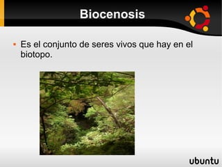 Biocenosis

   Es el conjunto de seres vivos que hay en el
    biotopo.
 