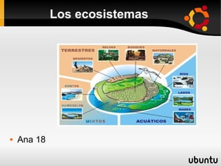 Los ecosistemas




   Ana 18
 