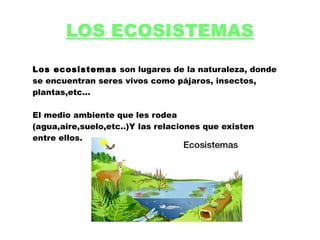 LOS ECOSISTEMAS
Los ecosistemas son lugares de la naturaleza, donde
se encuentran seres vivos como pájaros, insectos,
plantas,etc...
El medio ambiente que les rodea
(agua,aire,suelo,etc..)Y las relaciones que existen
entre ellos.
 
