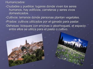 Humanizados: -Ciudades y pueblos: lugares donde viven los seres humanos, hay edificios, carreteras y seres vivos domesticados. -Cultivos: terrenos donde personas plantan vegetales. -Prados: cultivos utilizados por el ganado para pastar. -Dehesas: bosques con encinas o alcornoques, el espacio entre ellos se utiliza para el pasto o cultivo. 
