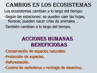 Cambios en los ecosistemas Los ecosistemas cambian a lo largo del tiempo: -Según las estaciones: se pueden caer las hojas, florecer, pueden nacer crías de animales … -También cambian a lo largo del tiempo. Acciones humanas beneficiosas -Conservación de espacios naturales.  -Protección de especies. -Reforestación. -Control de vertederos y reciclaje de desechos. 