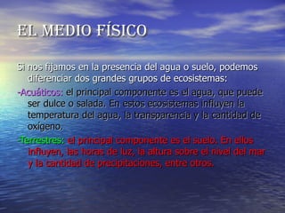 EL MEDIO FÍSICO Si nos fijamos en la presencia del agua o suelo, podemos diferenciar dos grandes grupos de ecosistemas: -Acuáticos:  el principal componente es el agua, que puede ser dulce o salada. En estos ecosistemas influyen la temperatura del agua, la transparencia y la cantidad de oxígeno. -Terrestres:  el principal componente es el suelo. En ellos influyen, las horas de luz, la altura sobre el nivel del mar y la cantidad de precipitaciones, entre otros.  
