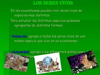En los ecosistemas pueden vivir seres vivos de especies muy distintas. Para estudiar las distintas especies podemos agruparlos de distintas formas: -Población:  agrupa a todos los seres vivos de una misma especie que vive en un ecosistema. -Comunidad:  agrupa a las diferentes poblaciones de un ecosistemas. Los seres vivos 