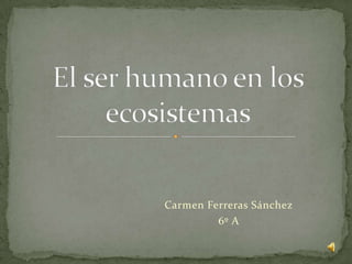 Carmen Ferreras Sánchez 6º A El ser humano en los ecosistemas 