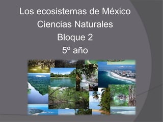 Los ecosistemas de México
    Ciencias Naturales
         Bloque 2
          5º año
 