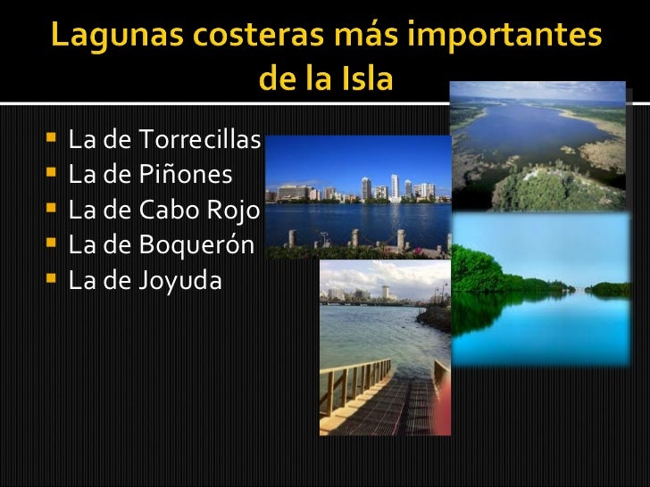 Los ecosistemas de agua salobre