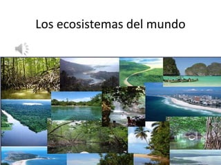 Los ecosistemas del mundo
 
