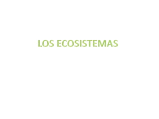 Ecosistema acuático: La Albufera de Valencia