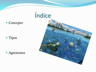Índice
 Concepto



 Tipos



 Agresiones
 