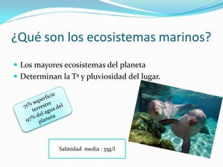 ¿Qué son los ecosistemas marinos?
 Los mayores ecosistemas del planeta
 Determinan la Tª y pluviosidad del lugar.




             Salinidad media : 35g/l
 