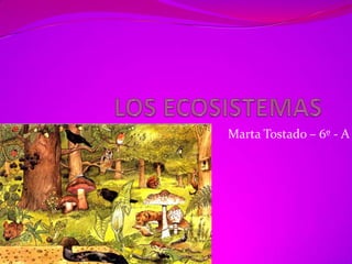 LOS ECOSISTEMAS Marta Tostado – 6º - A 