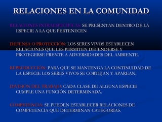 RELACIONES EN LA COMUNIDADRELACIONES EN LA COMUNIDAD
RELACIONES INTRAESPECÍFICAS:RELACIONES INTRAESPECÍFICAS: SE PRESENTAN DENTRO DE LASE PRESENTAN DENTRO DE LA
ESPECIE A LA QUE PERTENECENESPECIE A LA QUE PERTENECEN
DEFENSA O PROTECCIÓN:DEFENSA O PROTECCIÓN: LOS SERES VIVOS ESTABLECENLOS SERES VIVOS ESTABLECEN
RELACIONES QUE LES PERMITEN DEFENDERSE YRELACIONES QUE LES PERMITEN DEFENDERSE Y
PROTEGERSE FRENTE A ADVERSIDADES DEL AMBIENTE.PROTEGERSE FRENTE A ADVERSIDADES DEL AMBIENTE.
REPRODUCCIÓN:REPRODUCCIÓN: PARA QUE SE MANTENGA LA CONTINUIDAD DEPARA QUE SE MANTENGA LA CONTINUIDAD DE
LA ESPECIE LOS SERES VIVOS SE CORTEJAN Y APAREAN.LA ESPECIE LOS SERES VIVOS SE CORTEJAN Y APAREAN.
DIVISIÓN DEL TRABAJO:DIVISIÓN DEL TRABAJO: CADA CLASE DE ALGUNA ESPECIECADA CLASE DE ALGUNA ESPECIE
CUMPLE UNA FUNCIÓN DETERMINADA.CUMPLE UNA FUNCIÓN DETERMINADA.
COMPETENCIA:COMPETENCIA: SE PUEDEN ESTABLECER RELACIONES DESE PUEDEN ESTABLECER RELACIONES DE
COMPETENCIA QUE DETERMINAN CATEGORÍAS.COMPETENCIA QUE DETERMINAN CATEGORÍAS.
 