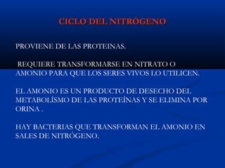 CICLO DEL NITRÓGENOCICLO DEL NITRÓGENO
PROVIENE DE LAS PROTEINAS.
REQUIERE TRANSFORMARSE EN NITRATO O
AMONIO PARA QUE LOS SERES VIVOS LO UTILICEN.
EL AMONIO ES UN PRODUCTO DE DESECHO DEL
METABOLÍSMO DE LAS PROTEÍNAS Y SE ELIMINA POR
ORINA .
HAY BACTERIAS QUE TRANSFORMAN EL AMONIO EN
SALES DE NITRÓGENO.
 