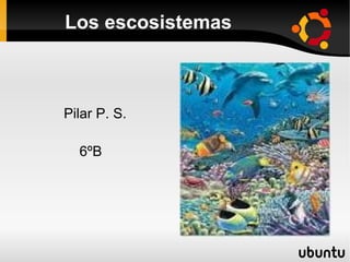 Los escosistemas



Pilar P. S.

  6ºB
 