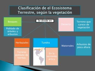 Bosques
Matorrales
Se divide en
Herbazales Tundra
Desierto
En la
vertiente
ártica
Terreno
poblado de
hierbas
Arbustos de
poca altura
Poblado de
árboles y
arbustos
Terreno que
carece de
vegetación
 