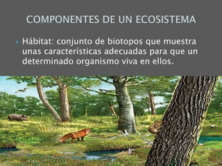  Hábitat: conjunto de biotopos que muestra
unas características adecuadas para que un
determinado organismo viva en ellos.
 