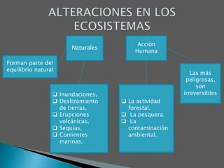 Naturales
Acción
Humana
Forman parte del
equilibrio natural
 Inundaciones,
 Deslizamiento
de tierras,
 Erupciones
volcánicas,
 Sequias,
 Corrientes
marinas.
Las más
peligrosas,
son
irreversibles
 La actividad
forestal.
 La pesquera.
 La
contaminación
ambiental.
 