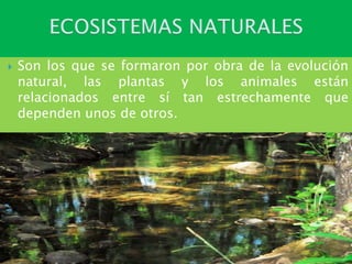  Son los que se formaron por obra de la evolución
natural, las plantas y los animales están
relacionados entre sí tan estrechamente que
dependen unos de otros.
 