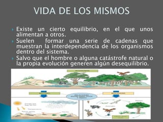  Existe un cierto equilibrio, en el que unos
alimentan a otros.
 Suelen formar una serie de cadenas que
muestran la interdependencia de los organismos
dentro del sistema.
 Salvo que el hombre o alguna catástrofe natural o
la propia evolución generen algún desequilibrio.
 