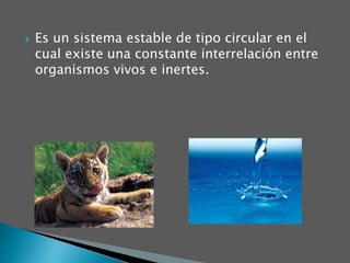  Es un sistema estable de tipo circular en el
cual existe una constante interrelación entre
organismos vivos e inertes.
 