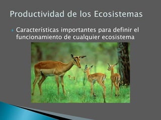  Características importantes para definir el
funcionamiento de cualquier ecosistema
 