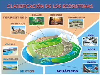 Ecosistema Acuático
Ecosistema Aéreo
Ecosistema Terrestre
 