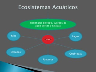 Tienen por biotopo, cuerpos de
agua dulces o saladas
Ríos Lagos
Pantanos
Quebradas
Océanos
como
 