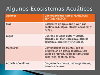 Océanos Con organismos como: PLANCTON;
BENTOS; NECTON
Ríos Corrientes de agua que fluyen con
continuidad, algas, plantas acuáticas y
peces.
Lagos Cuerpos de agua dulce y salada,
alejados del mar, con algas, plantas
acuáticas, insectos y crustáceos.
Manglares Comunidades de plantas que se
desarrollan en zonas costeras, son
sitios de reproducción de camarones,
cangrejos, reptiles, aves.
Arrecifes Coralinos Conjunto de corales, microrganismos,
estrellas de mar.
 