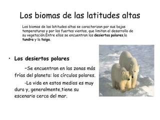 Los biomas de las latitudes altas Los desiertos polares - Se encuentran en las zonas más frías del planeta: los círculos polares. -La vida en estos medios es muy dura y, generalmente,tiene su escenario cerca del mar.  Los biomas de las latitudes altas se caracterizan por sus bajas temperaturas y por los fuertes vientos, que limitan el desarrollo de su vegetación.Entre ellos se encuentran los  desiertos   polares ,la  tundra  y la  taiga . 