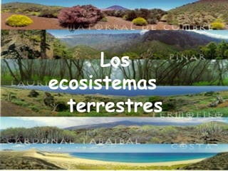 Los ecosistemas terrestres Los ecosistemas  terrestres 